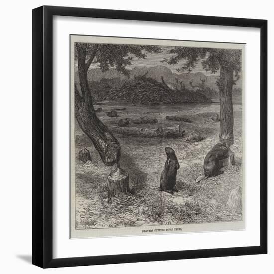 Beavers Cutting Down Trees-null-Framed Giclee Print