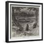 Beavers Cutting Down Trees-null-Framed Giclee Print