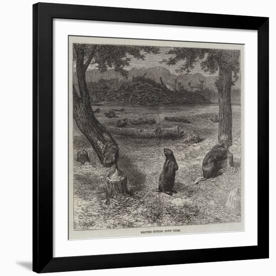 Beavers Cutting Down Trees-null-Framed Giclee Print