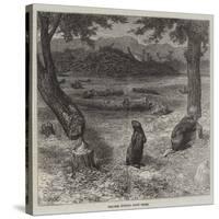 Beavers Cutting Down Trees-null-Stretched Canvas