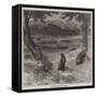 Beavers Cutting Down Trees-null-Framed Stretched Canvas