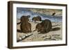 Beavers Feeding on Felled Aspen Trees-null-Framed Premium Giclee Print