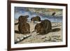 Beavers Feeding on Felled Aspen Trees-null-Framed Giclee Print