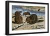 Beavers Feeding on Felled Aspen Trees-null-Framed Giclee Print