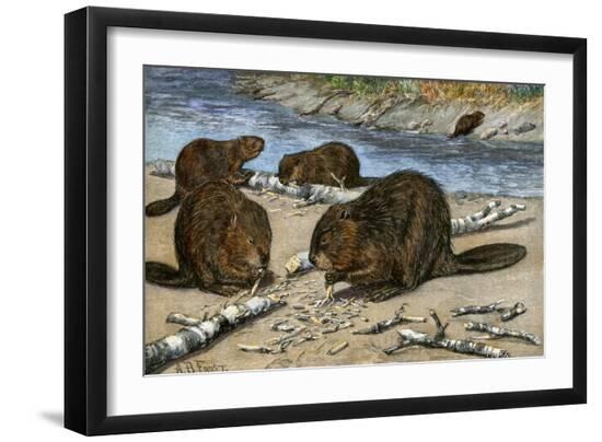 Premium Giclee Print, , large