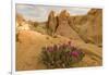 Beavertail Cactus, Valley of Fire State Park, Whitney Pockets, Nevada-Howie Garber-Framed Photographic Print