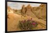 Beavertail Cactus, Valley of Fire State Park, Whitney Pockets, Nevada-Howie Garber-Framed Photographic Print