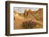 Beavertail Cactus, Valley of Fire State Park, Whitney Pockets, Nevada-Howie Garber-Framed Photographic Print