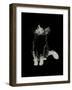 Bebe Le Bone, 2002, (ink on paper)-Vincent Alexander Booth-Framed Giclee Print