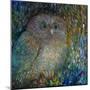 Bebe Owl-Oxana Zaiko-Mounted Giclee Print