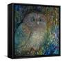 Bebe Owl-Oxana Zaiko-Framed Stretched Canvas