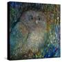 Bebe Owl-Oxana Zaiko-Stretched Canvas