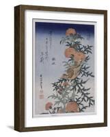 Bec croisé et chardon-Katsushika Hokusai-Framed Giclee Print