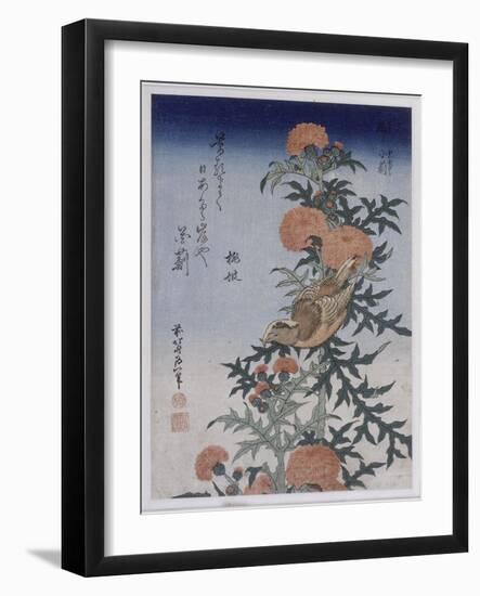 Bec croisé et chardon-Katsushika Hokusai-Framed Giclee Print