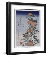 Bec croisé et chardon-Katsushika Hokusai-Framed Giclee Print