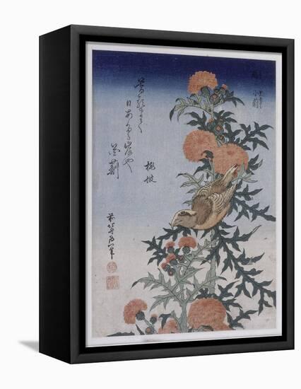 Bec croisé et chardon-Katsushika Hokusai-Framed Stretched Canvas
