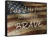 Because of the Brave-Diane Stimson-Framed Stretched Canvas