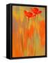 Because of You 1-Philippe Sainte-Laudy-Framed Stretched Canvas