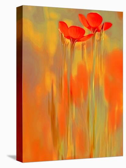 Because of You 1-Philippe Sainte-Laudy-Stretched Canvas