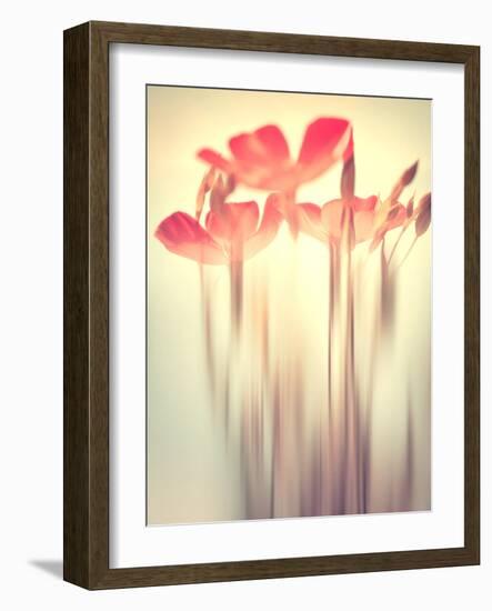 Because of You 2-Philippe Sainte-Laudy-Framed Photographic Print