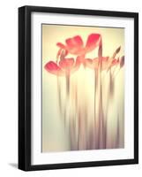 Because of You 2-Philippe Sainte-Laudy-Framed Photographic Print