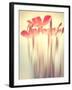 Because of You 2-Philippe Sainte-Laudy-Framed Photographic Print