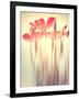 Because of You 2-Philippe Sainte-Laudy-Framed Photographic Print