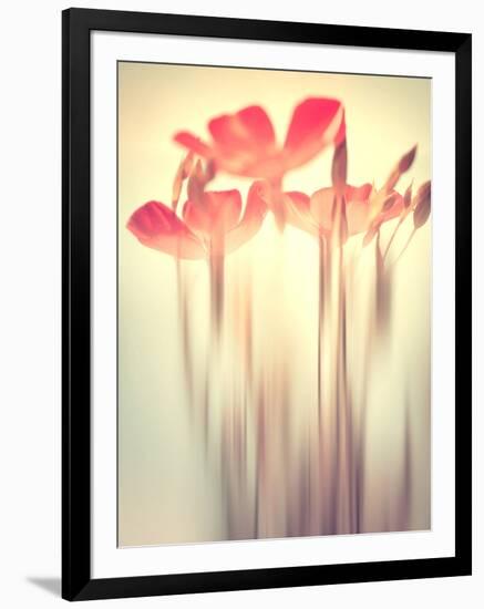 Because of You 2-Philippe Sainte-Laudy-Framed Photographic Print