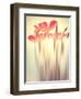 Because of You 2-Philippe Sainte-Laudy-Framed Premium Photographic Print