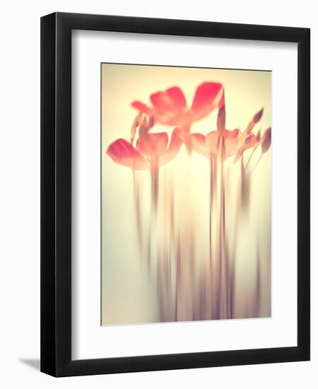 Because of You 2-Philippe Sainte-Laudy-Framed Premium Photographic Print