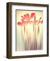 Because of You 2-Philippe Sainte-Laudy-Framed Photographic Print