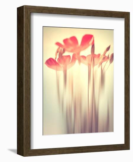 Because of You 2-Philippe Sainte-Laudy-Framed Photographic Print