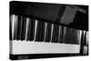 Bechstein Piano Keyboard-null-Stretched Canvas