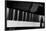 Bechstein Piano Keyboard-null-Framed Photographic Print