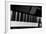 Bechstein Piano Keyboard-null-Framed Photographic Print