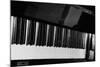 Bechstein Piano Keyboard-null-Mounted Photographic Print