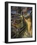 Beckoning Flame-Josephine Wall-Framed Giclee Print