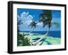 Beckoning Palms-Scott Westmoreland-Framed Art Print