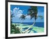 Beckoning Palms-Scott Westmoreland-Framed Art Print