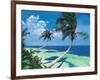 Beckoning Palms-Scott Westmoreland-Framed Art Print