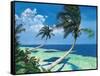 Beckoning Palms-Scott Westmoreland-Framed Stretched Canvas