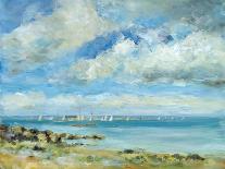 Plein Air Regatta-Becky Samuelson-Stretched Canvas