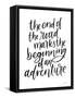 Framed Canvas