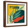 Brown Frame