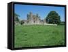 Bective Abbey, Cistercian, Dating from the 12th Century, Trim, County Meath, Leinster, Ireland-Nedra Westwater-Framed Stretched Canvas