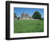 Bective Abbey, Cistercian, Dating from the 12th Century, Trim, County Meath, Leinster, Ireland-Nedra Westwater-Framed Photographic Print