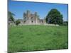 Bective Abbey, Cistercian, Dating from the 12th Century, Trim, County Meath, Leinster, Ireland-Nedra Westwater-Mounted Photographic Print