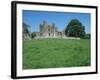 Bective Abbey, Cistercian, Dating from the 12th Century, Trim, County Meath, Leinster, Ireland-Nedra Westwater-Framed Photographic Print