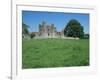 Bective Abbey, Cistercian, Dating from the 12th Century, Trim, County Meath, Leinster, Ireland-Nedra Westwater-Framed Photographic Print