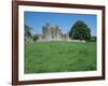 Bective Abbey, Cistercian, Dating from the 12th Century, Trim, County Meath, Leinster, Ireland-Nedra Westwater-Framed Photographic Print